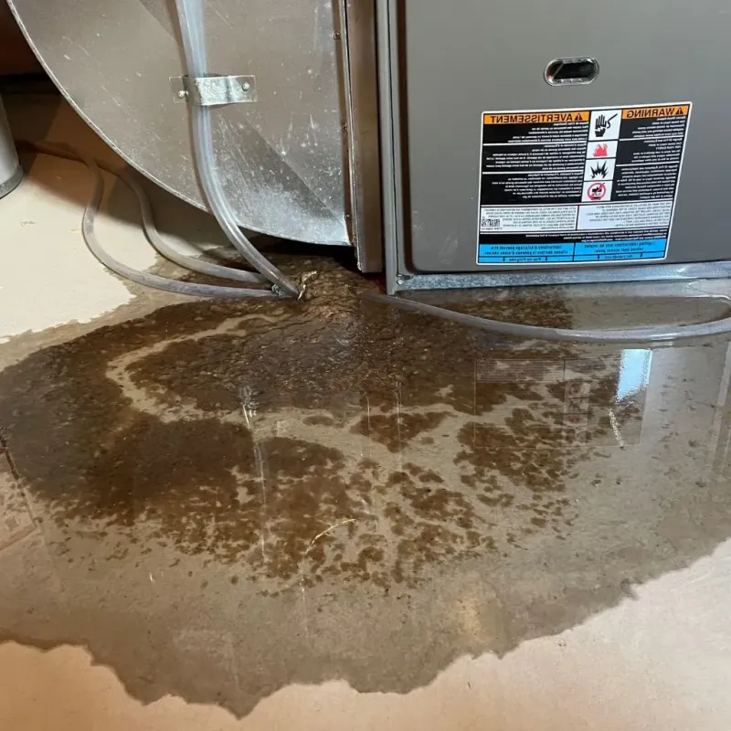 Pipe Burst and Leak Restoration in Monte Grande, PR