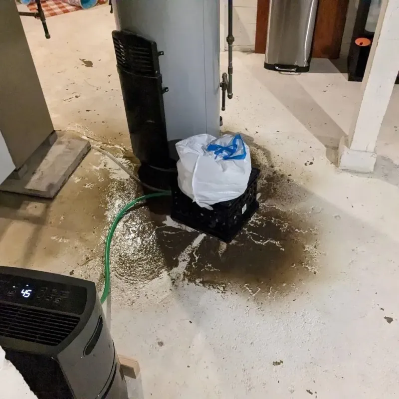 Sewage Backup Cleanup Service in Monte Grande, PR